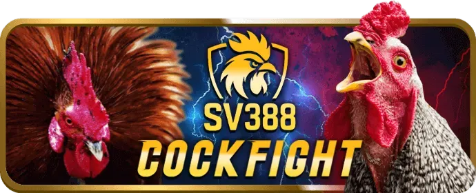 Giới thiệu về nền tảng 99bet nhà cái